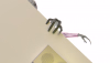 232081_screenshot0007.png Games 232081_screenshot0007.png